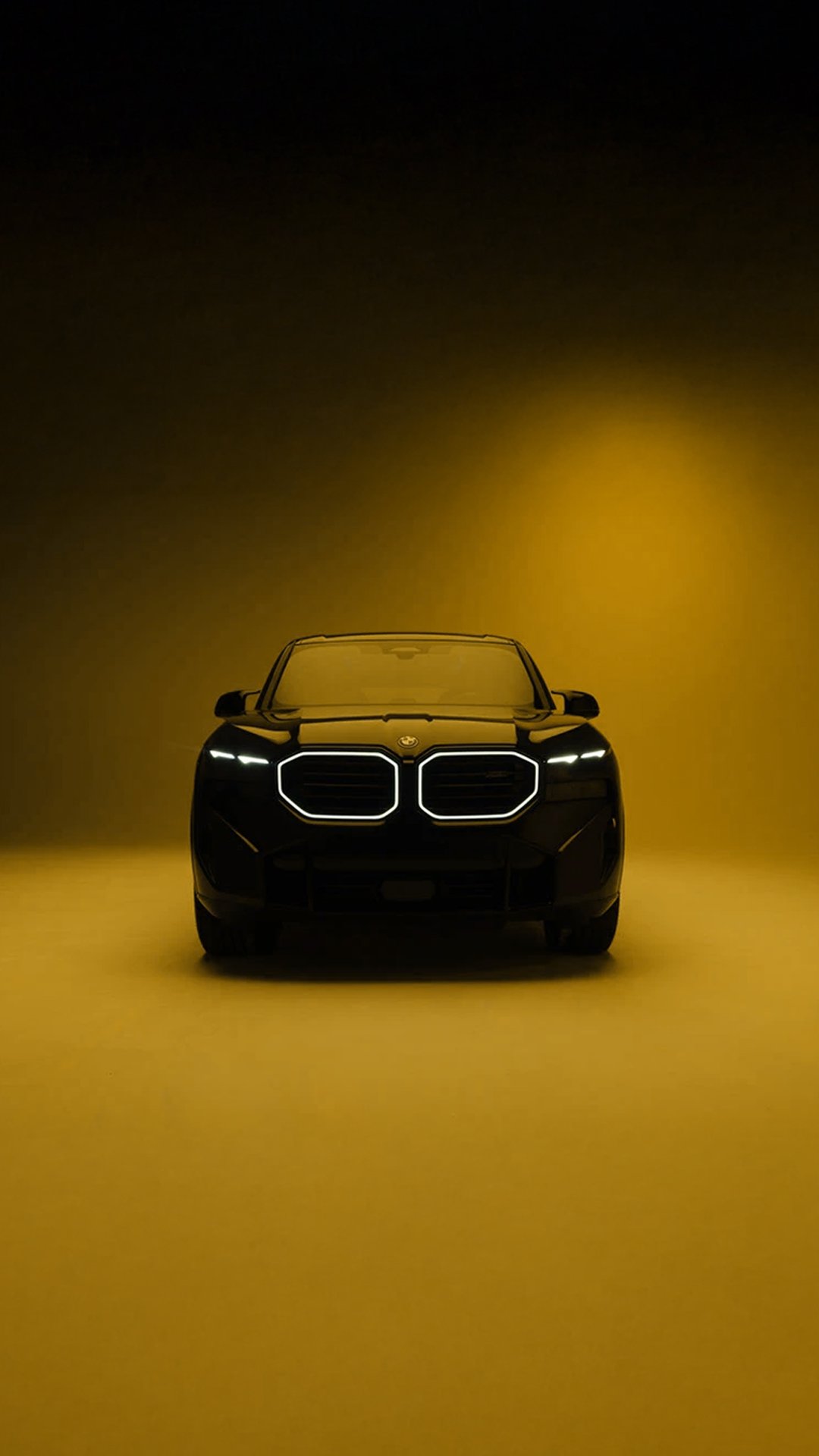 Paint Film Protection